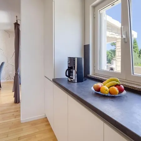 House Breeze - Premantura, 4 Bedroom House With Pool, Jacuzzi, Sauna And Gaming Premantura